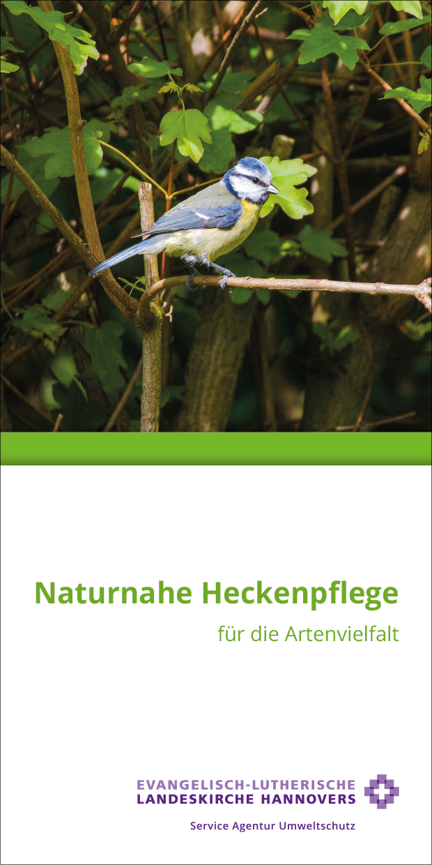 Naturnahe Heckenpflege für die Artenvielfalt