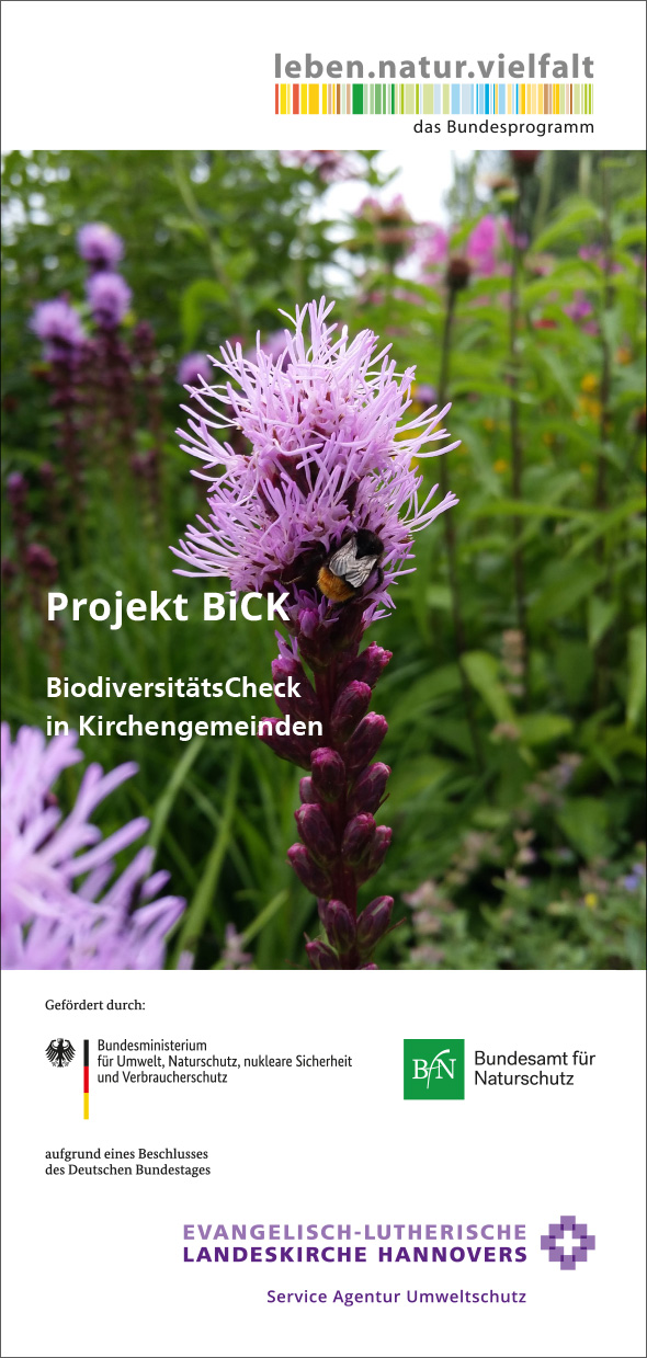 Projekt BiCK