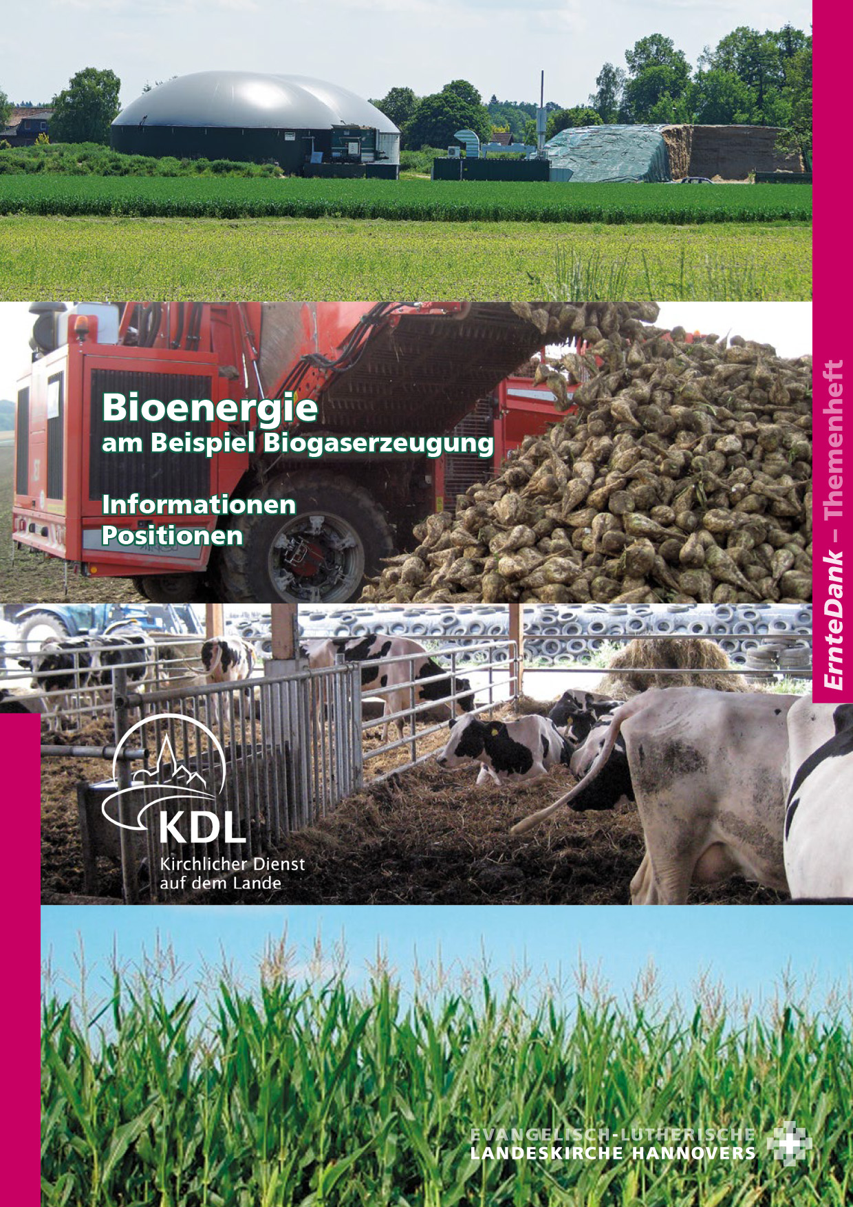Bioenergie am Beispiel Biogaserzeugung – PDF-Version